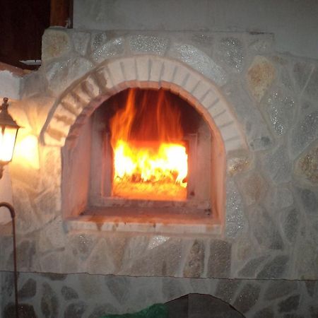 Tzvetelina Palace Hotel Dolna Banya Bagian luar foto