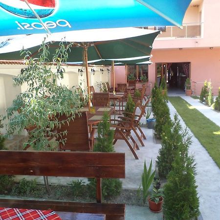 Tzvetelina Palace Hotel Dolna Banya Bagian luar foto