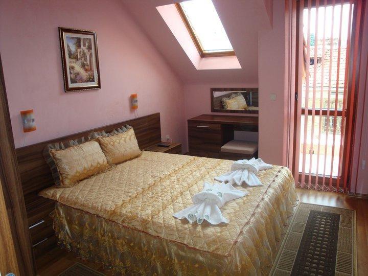 Tzvetelina Palace Hotel Dolna Banya Ruang foto