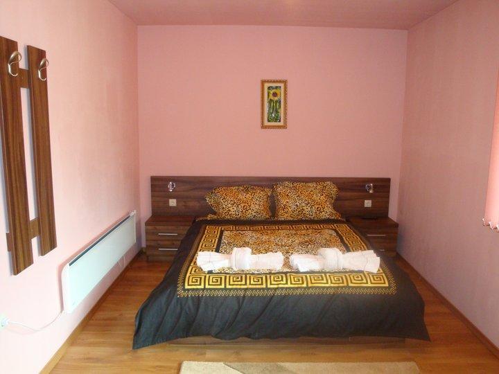 Tzvetelina Palace Hotel Dolna Banya Ruang foto