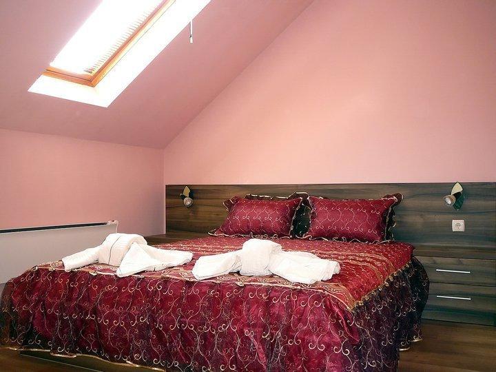 Tzvetelina Palace Hotel Dolna Banya Ruang foto