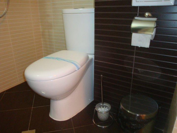 Tzvetelina Palace Hotel Dolna Banya Ruang foto