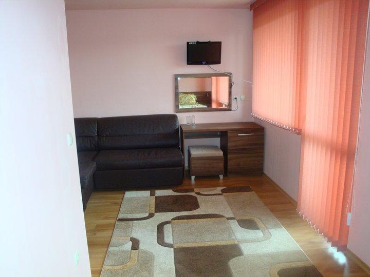Tzvetelina Palace Hotel Dolna Banya Ruang foto