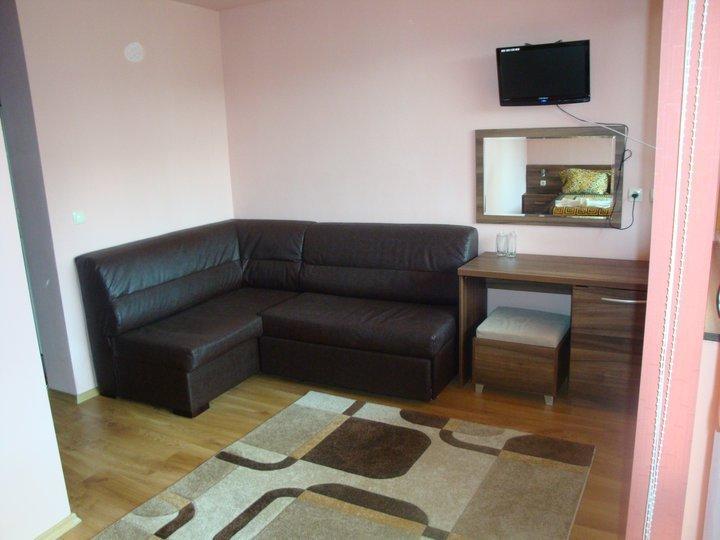 Tzvetelina Palace Hotel Dolna Banya Bagian luar foto