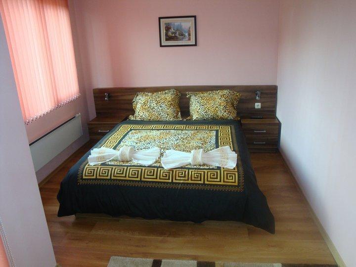 Tzvetelina Palace Hotel Dolna Banya Bagian luar foto