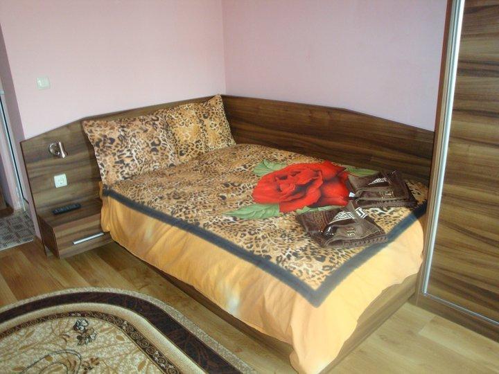 Tzvetelina Palace Hotel Dolna Banya Ruang foto