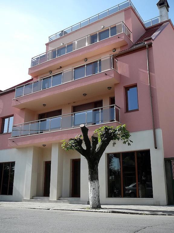 Tzvetelina Palace Hotel Dolna Banya Bagian luar foto