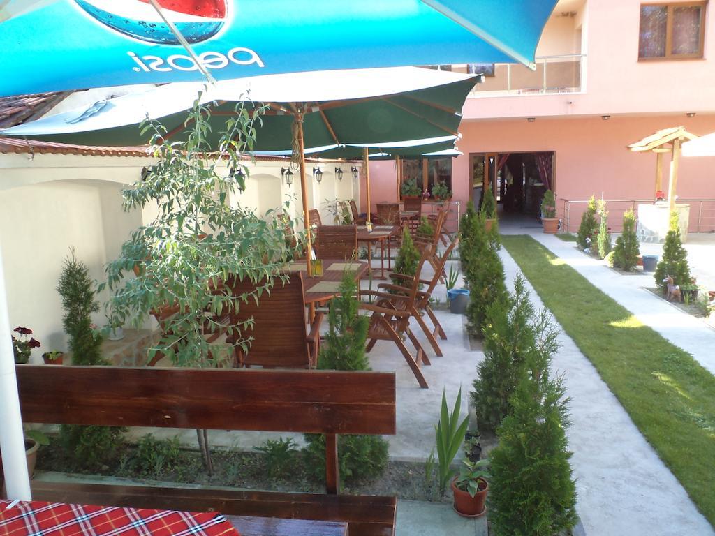 Tzvetelina Palace Hotel Dolna Banya Bagian luar foto