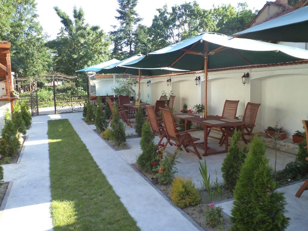 Tzvetelina Palace Hotel Dolna Banya Bagian luar foto